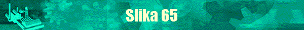 Slika 65