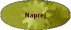 naprej.gif (2801 bytes)